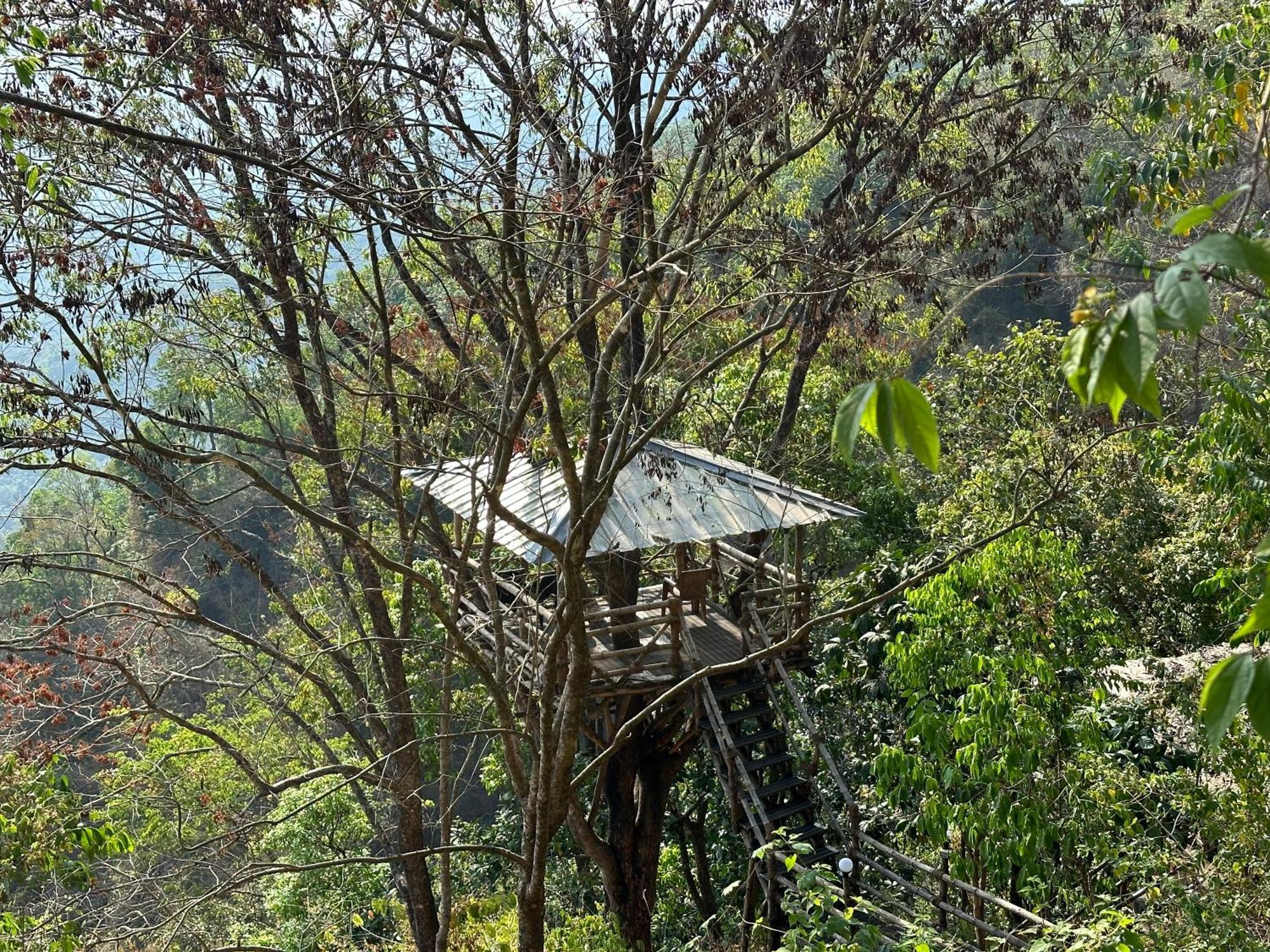 Sunset Valley Kerala Pool Resort - Monsoon Forest Cottage Stay In Idukki With Private Waterfalls, Natural Streams & Breathtaking Views Pīrmed Exterior foto